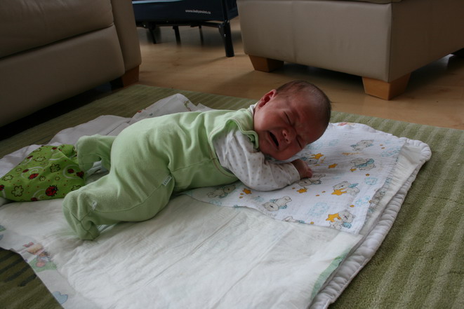 20090418_1594_resize.JPG