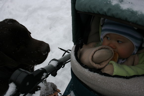 20100109_4347_resize.JPG