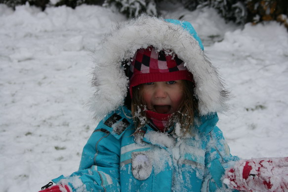 20100109_4359_resize.JPG