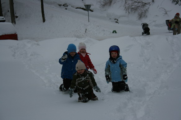 20100119_4533_resize.JPG
