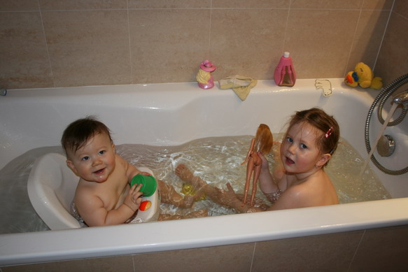 20100126_4795_resize.JPG