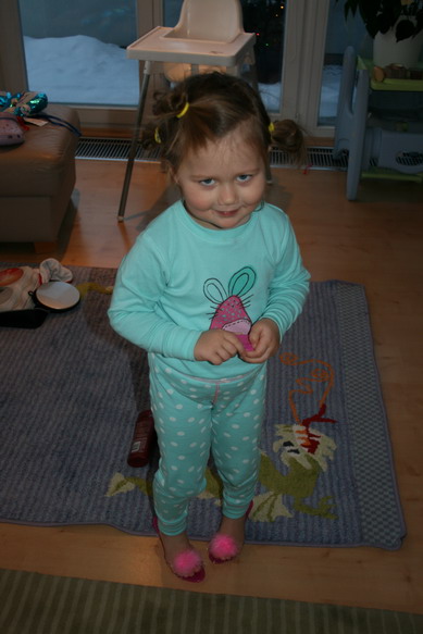 20100127_4814_resize.JPG